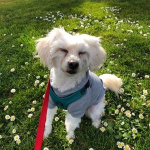 Meet your Posher, Elena